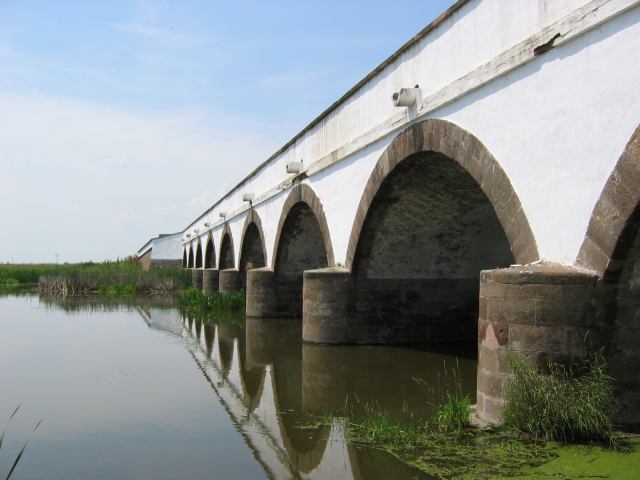 * Image 10