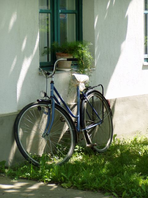 * Image 35
