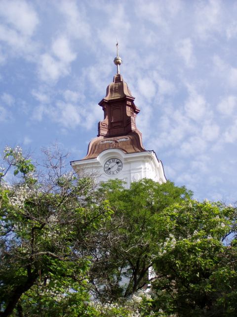 * Image 47