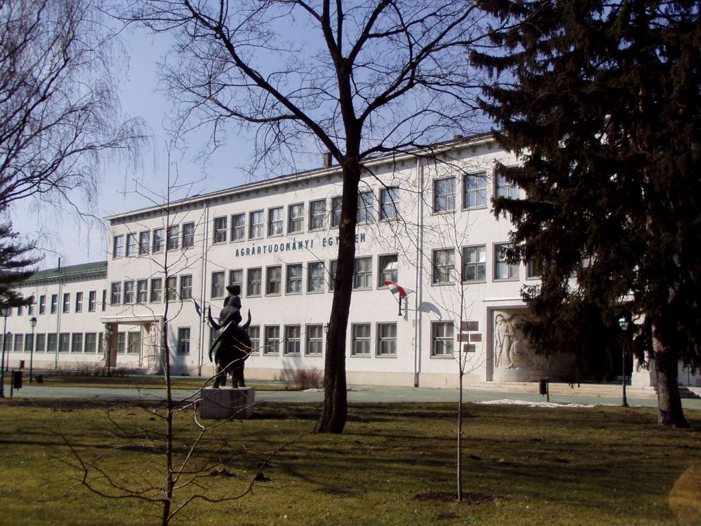 * Image 1