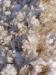 snow.JPG - 2005:02:06 13:35:33