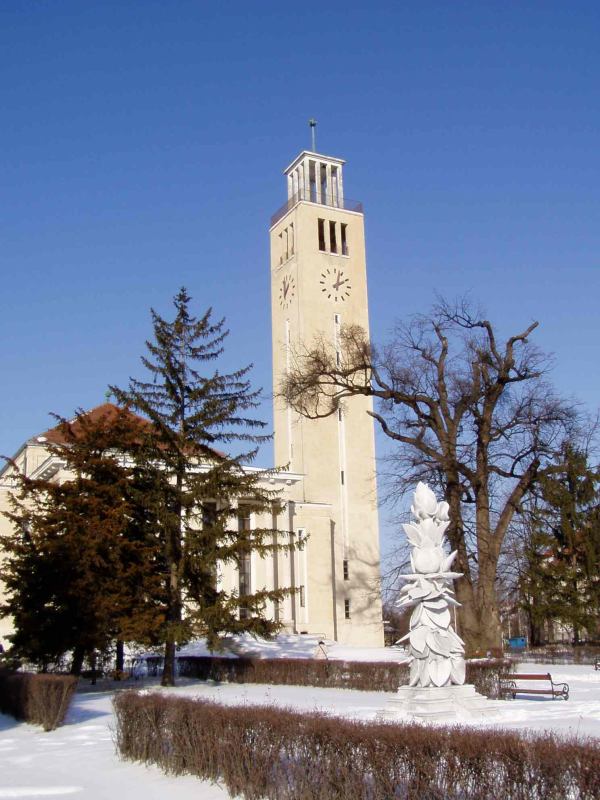 * Image 19