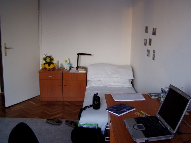 * Image 11