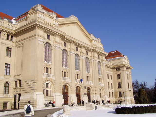 * Image 15