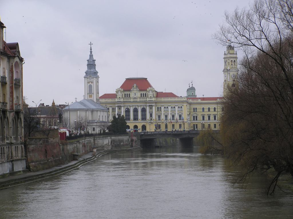 * Image 5