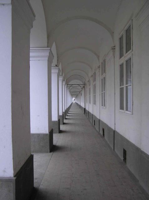 * Image 8