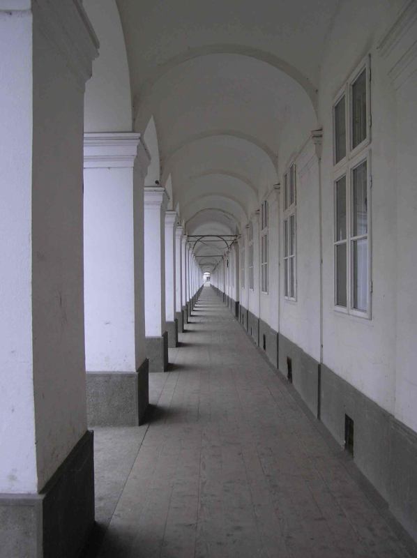 * Image 8
