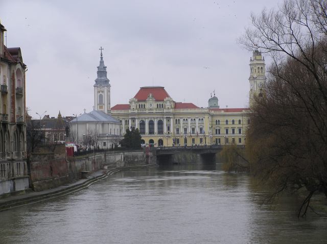 * Image 5