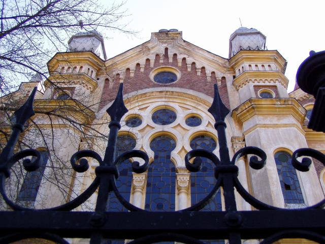 * Image 16