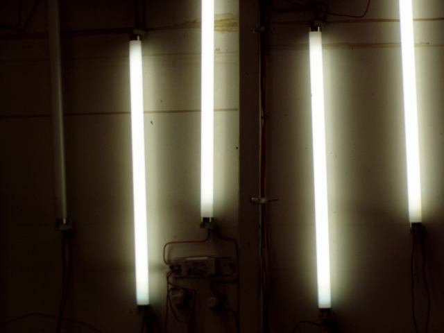 * Image 32