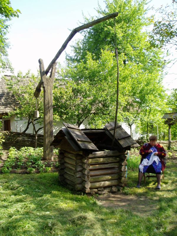 * Image 19