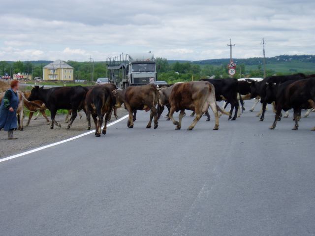 * Image 17