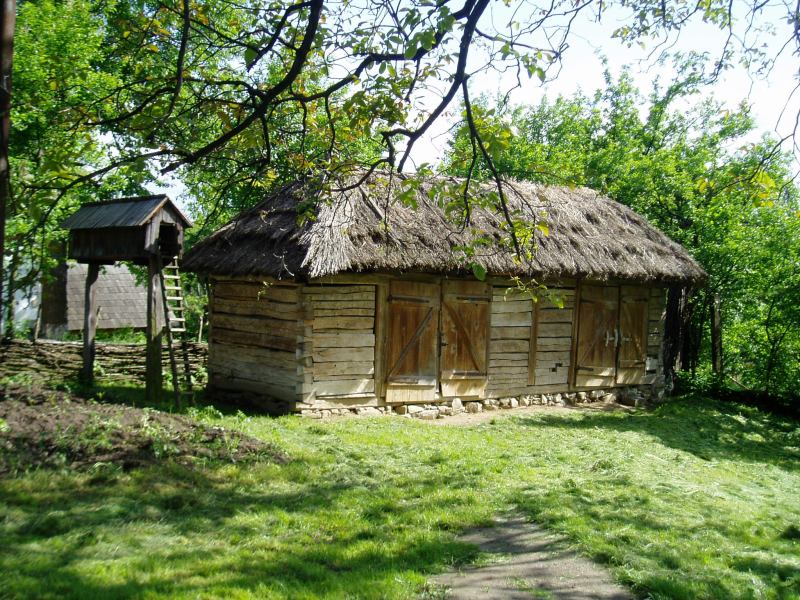 * Image 20
