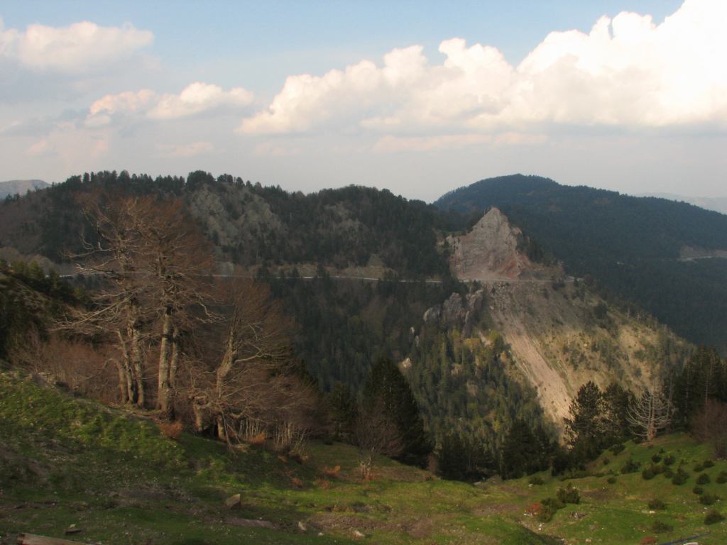 * Image 73
