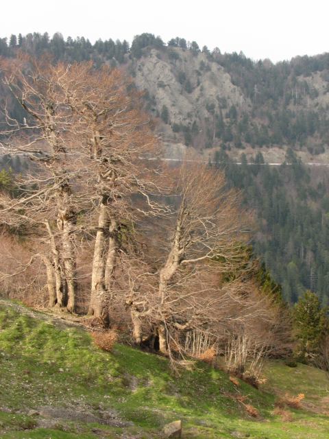 * Image 74
