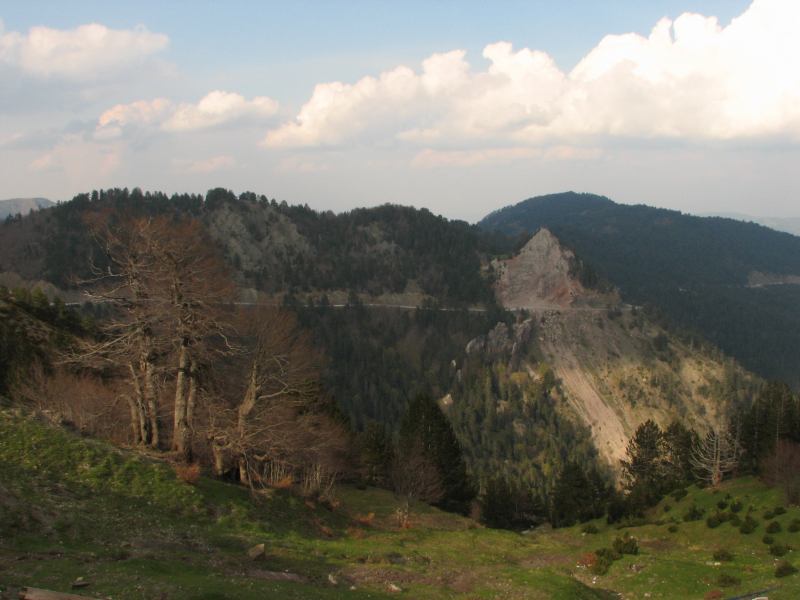 * Image 73