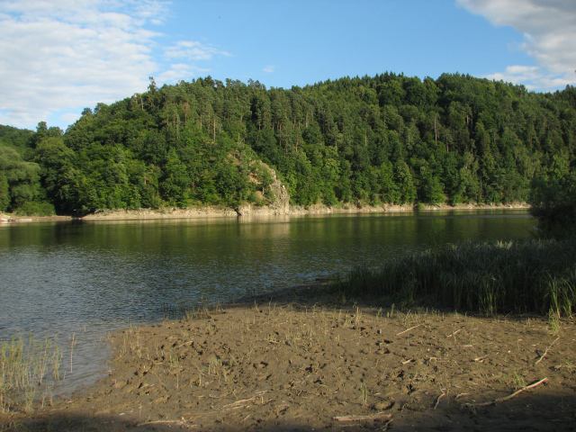 * Image 29