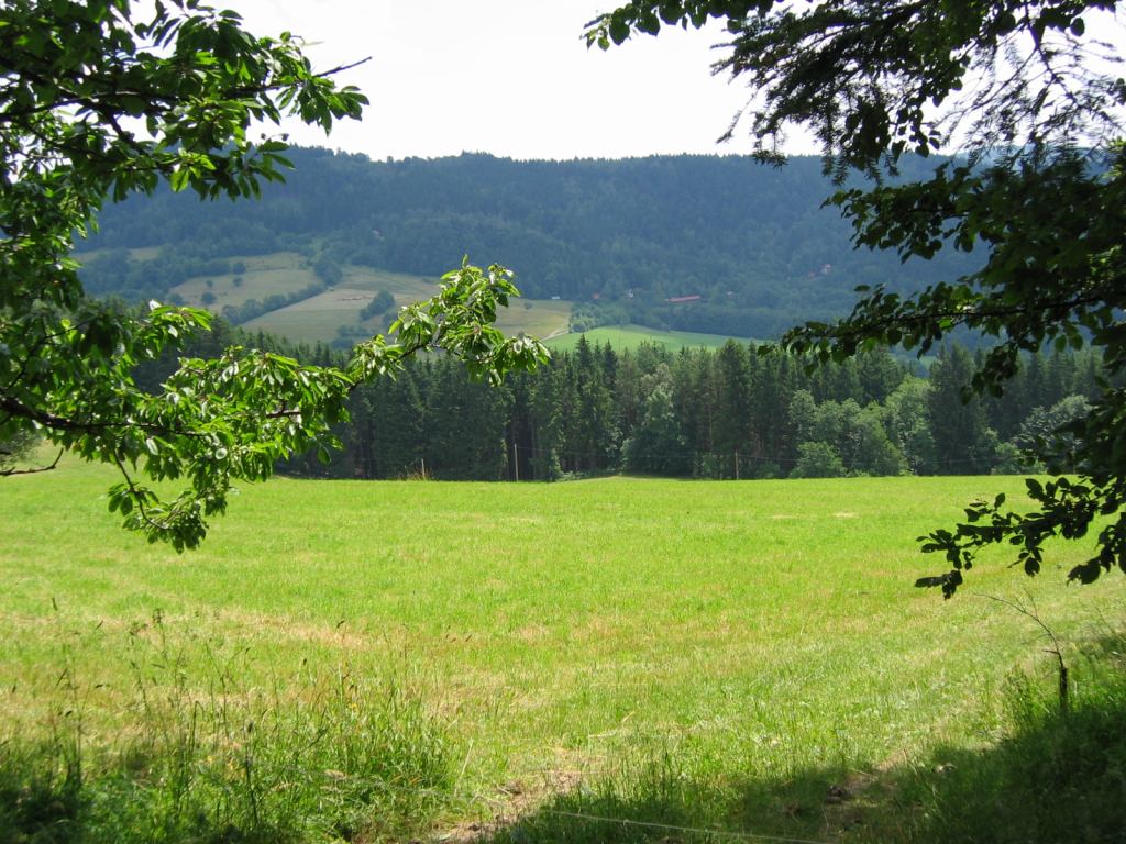 * Image 3