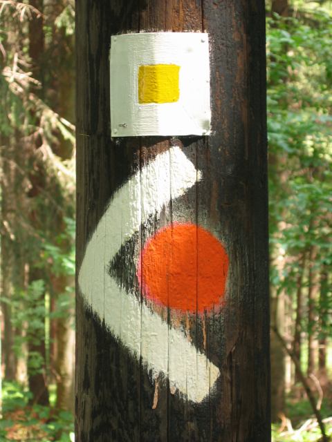 * Image 2