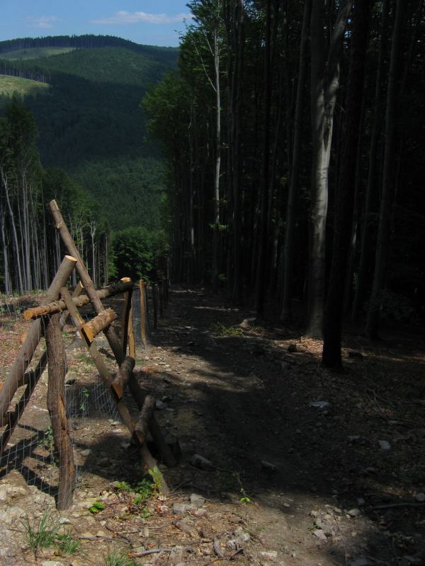 * Image 11