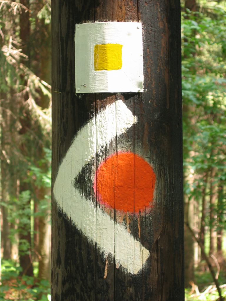* Image 2