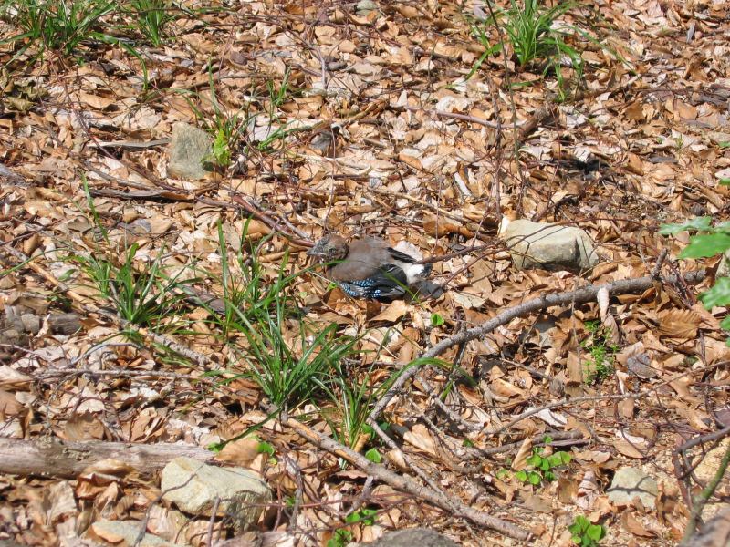 * Image 10