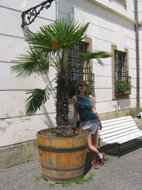 * Image 2