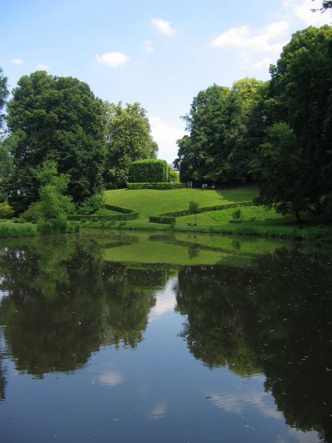 * Image 8