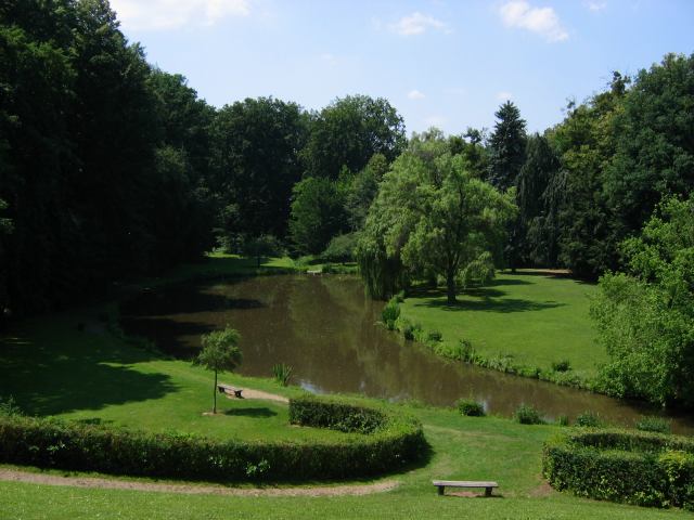 * Image 5