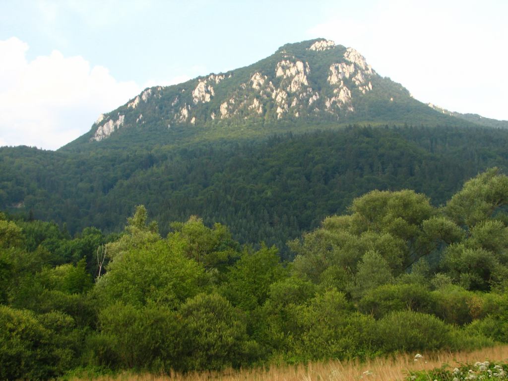 * Image 13