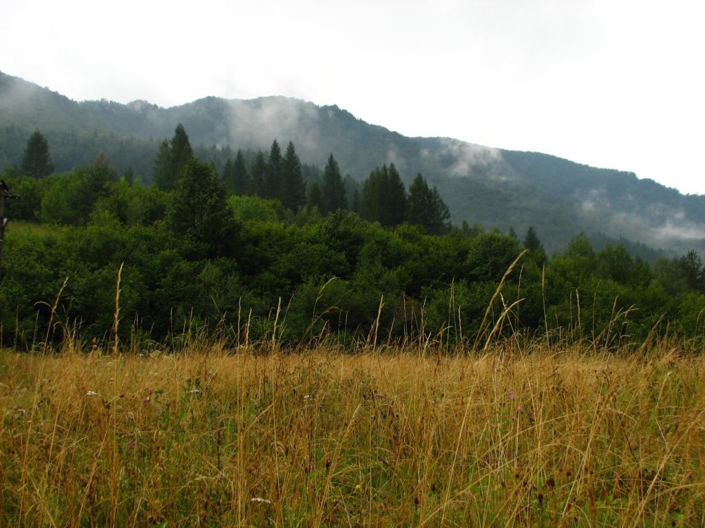 * Image 61