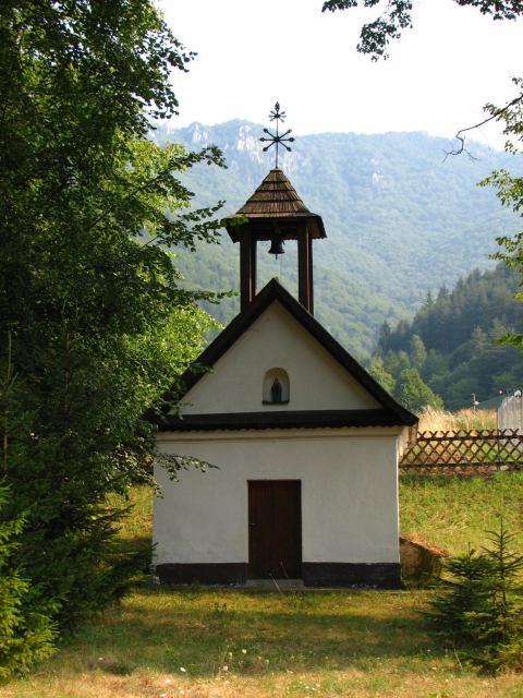 * Image 36