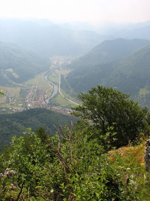* Image 44