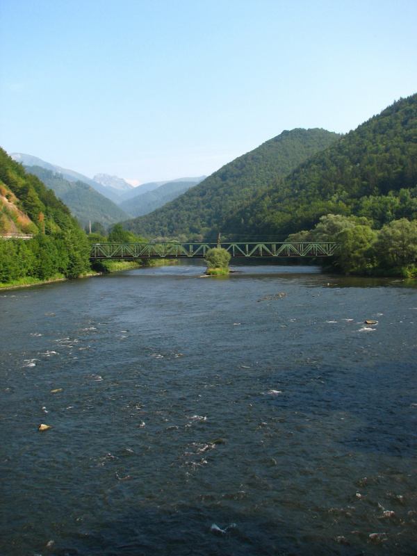 * Image 5