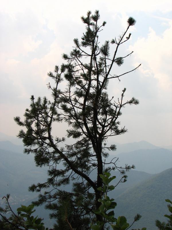 * Image 47