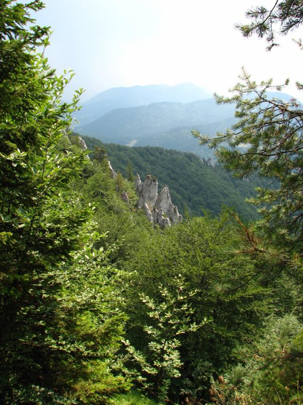 * Image 49