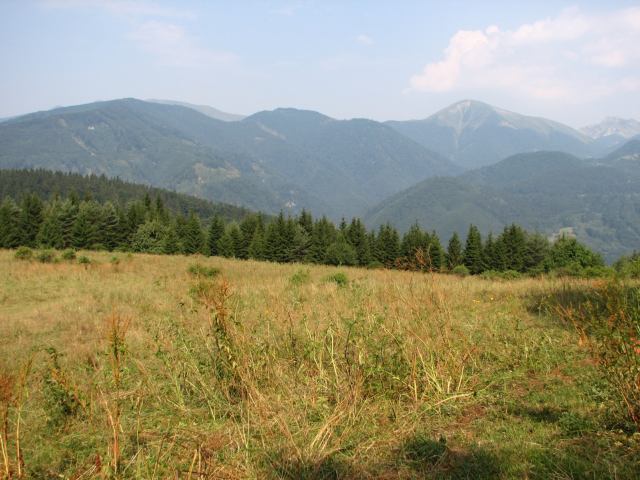 * Image 37
