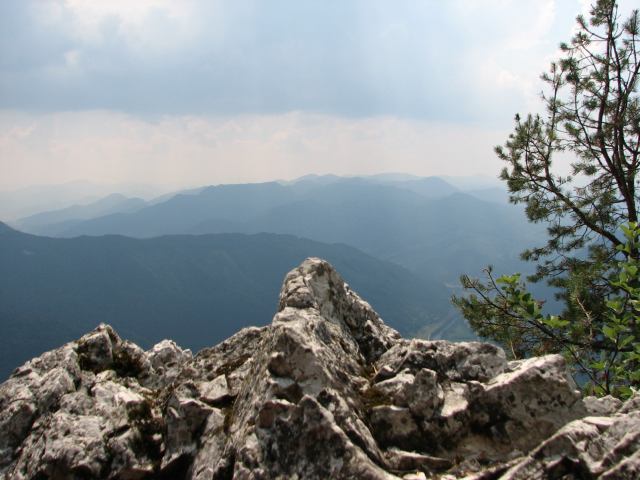 * Image 46