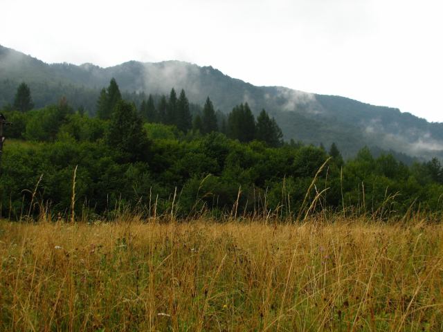 * Image 61