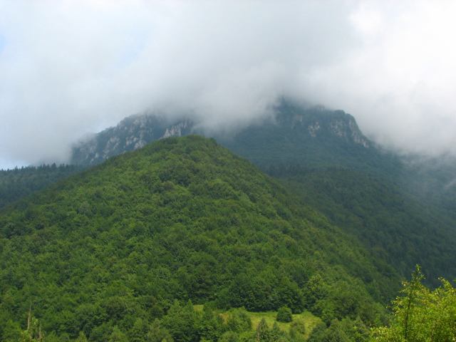 * Image 62