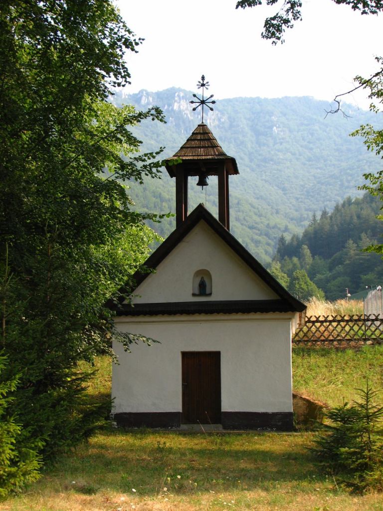 * Image 36