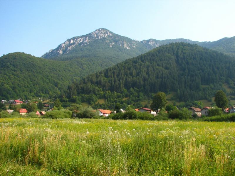 * Image 4