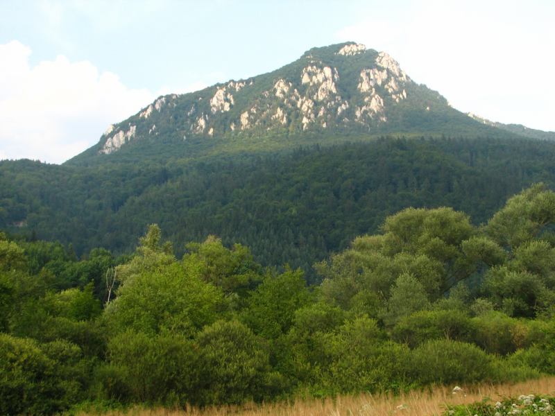 * Image 13