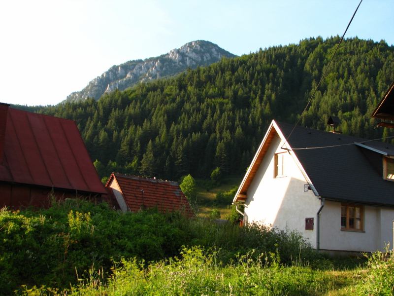 * Image 28