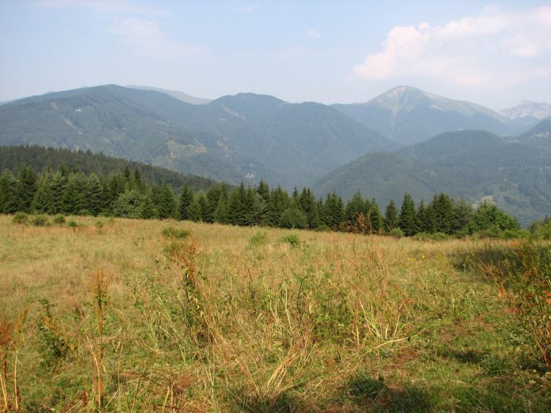 * Image 37