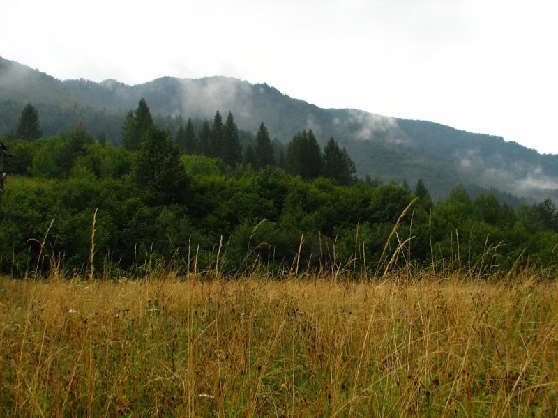 * Image 61