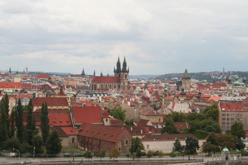 * Image 13