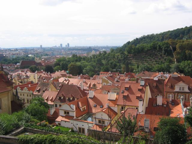 * Image 12