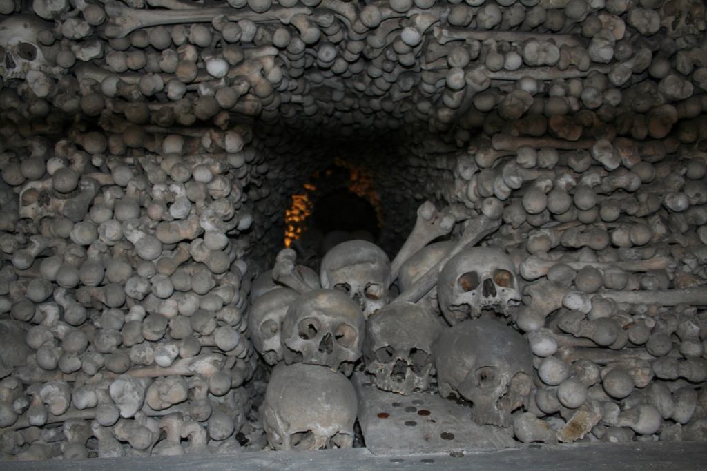 * Image 15