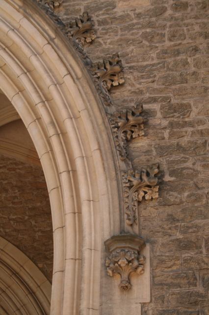 * Image 6